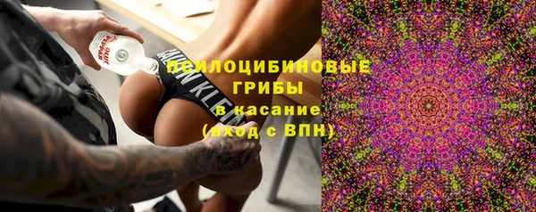 таблы Краснослободск