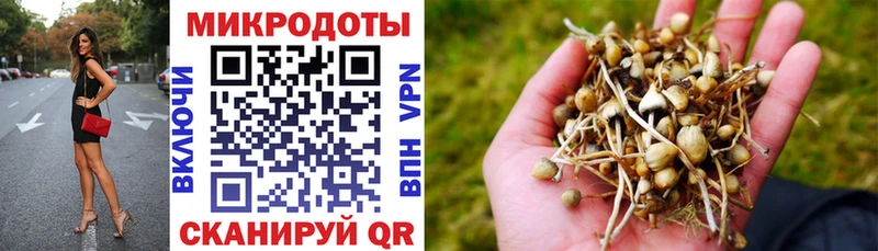 Купить закладки  Короча  Псилоцибиновые грибы ЛСД 